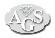 AGS Logo image