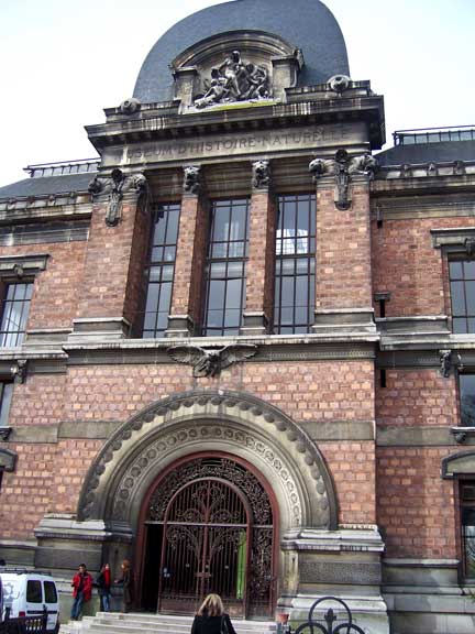 Museum Entrance photo image