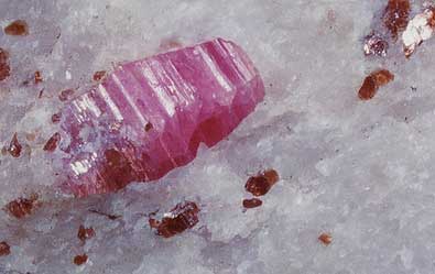 Phlogopite in Ruby Crystal photo image