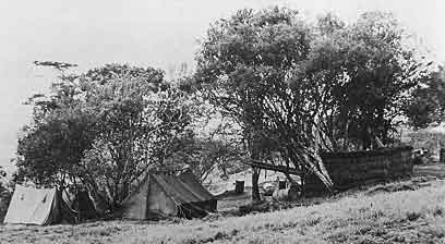 Main Camp photo image