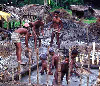 Miners photo image