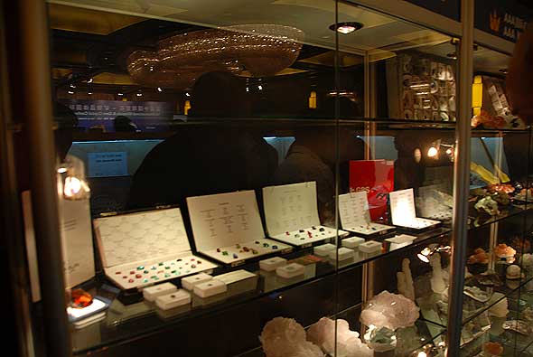 Display Case photo image