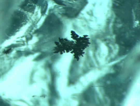 Apatite microphoto image