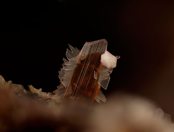 Muscovite photo image