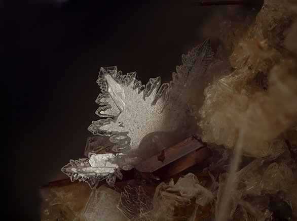 Tridymite photo image