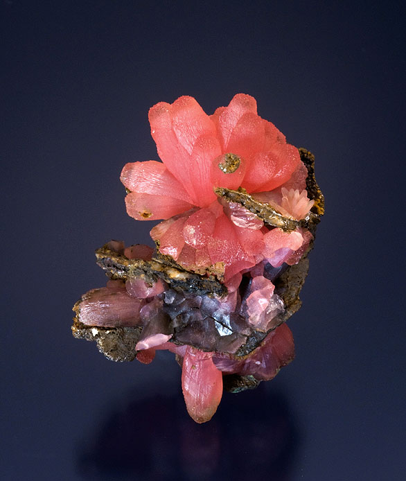 Rhodochrosite Specimen photo image