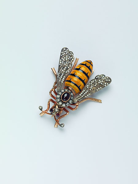 Bee photo image