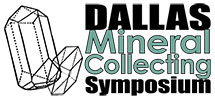DMCS logo image