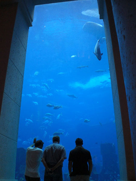 Aquarium photo image