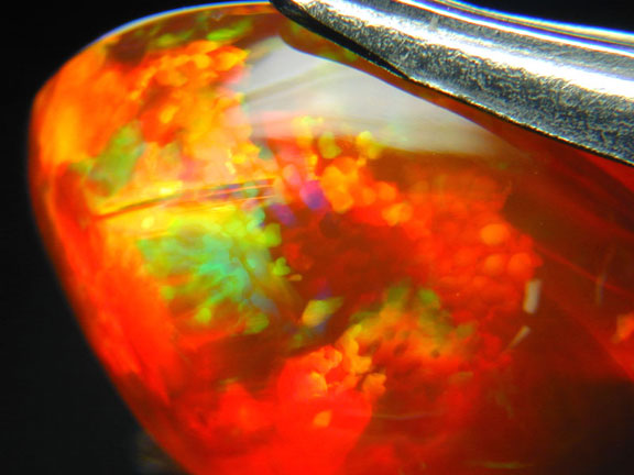 Opal photo image