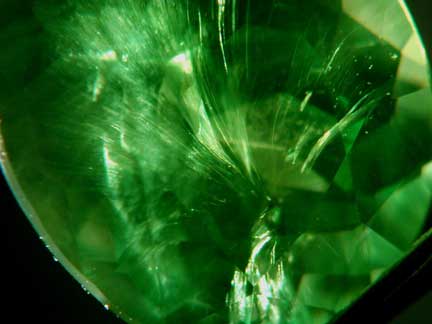 Demantoid Garnet Inclusion photomicrograph image