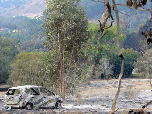 Fire Aftermath photo image