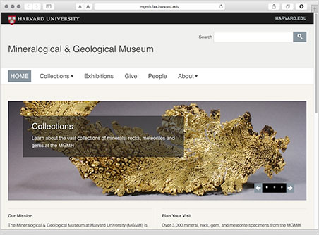 Harvard Museum screenshot image