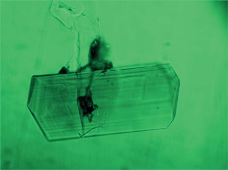 Emerald photomicrograph image