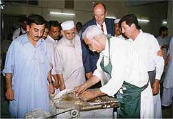 Lapidary Demonstration photo image