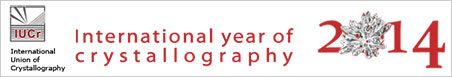 IYCR2014 logo image