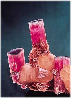 Candelabra Tourmaline photo image