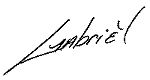 Gabriel Mattice signature image