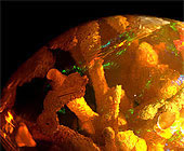 Mexican Fire Opal photo image