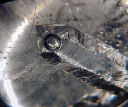 Quartz Inclusion photomicrograph image