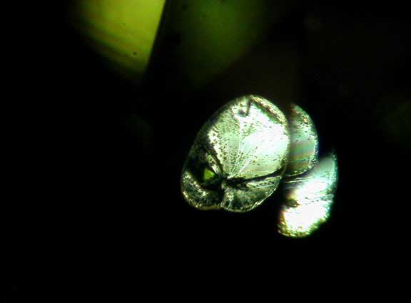 Peridot Inclusion photomicrograph image