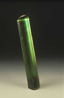 Tourmaline photo image