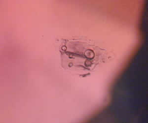 Crystal microphoto image