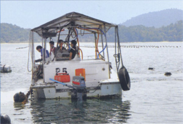 Boat photo image