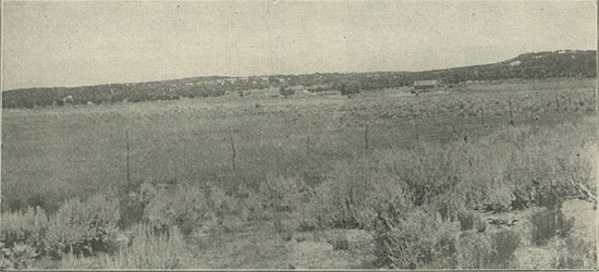 Prairie photo image