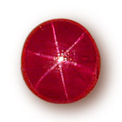 Star Ruby photo image