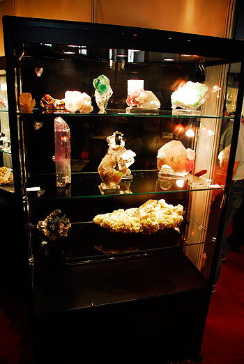 Display Case photo image