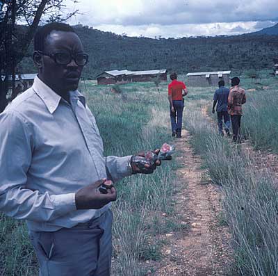 Miner Holding Ruby in Zoisite at Longido Mine photo image