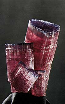 Tourmaline Group photo image