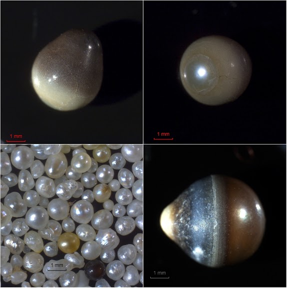 Pearls images