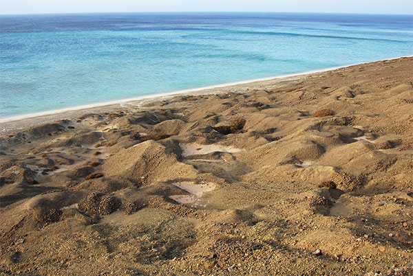 Mining Pits photo image