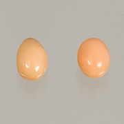 Melo Pearls photo image